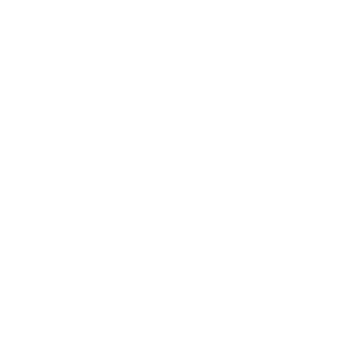 Logo de Mallín Alto