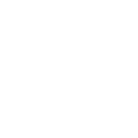 Logo de Nevados de Chillán